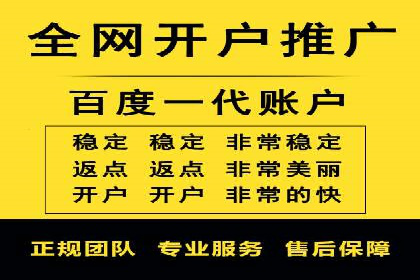 SEM广告投放案例：打造品牌影响力